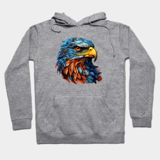 Colorful Eagle Hoodie